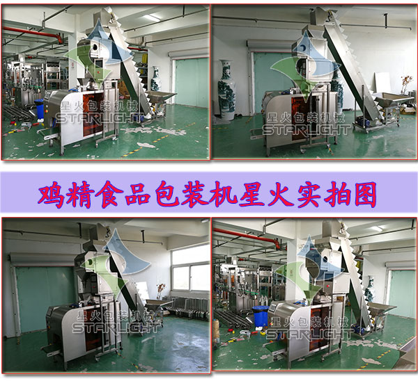 全自動雞精食品包裝機(jī)