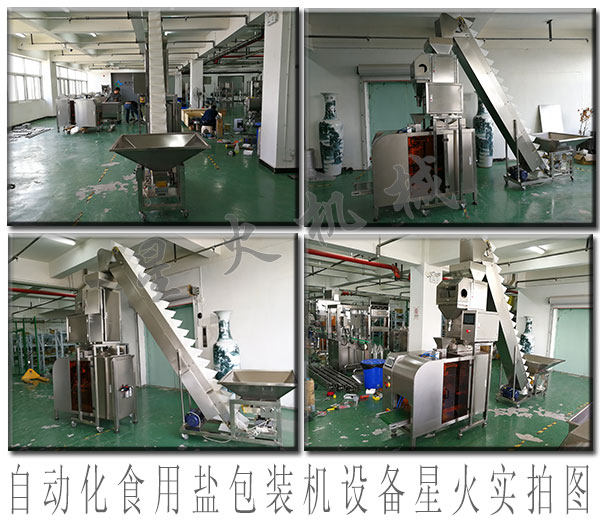 食用鹽包裝機械,自動化食用鹽包裝機設備